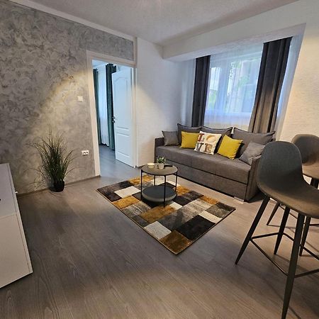 Mona Central Apartment Hunedoara Dış mekan fotoğraf