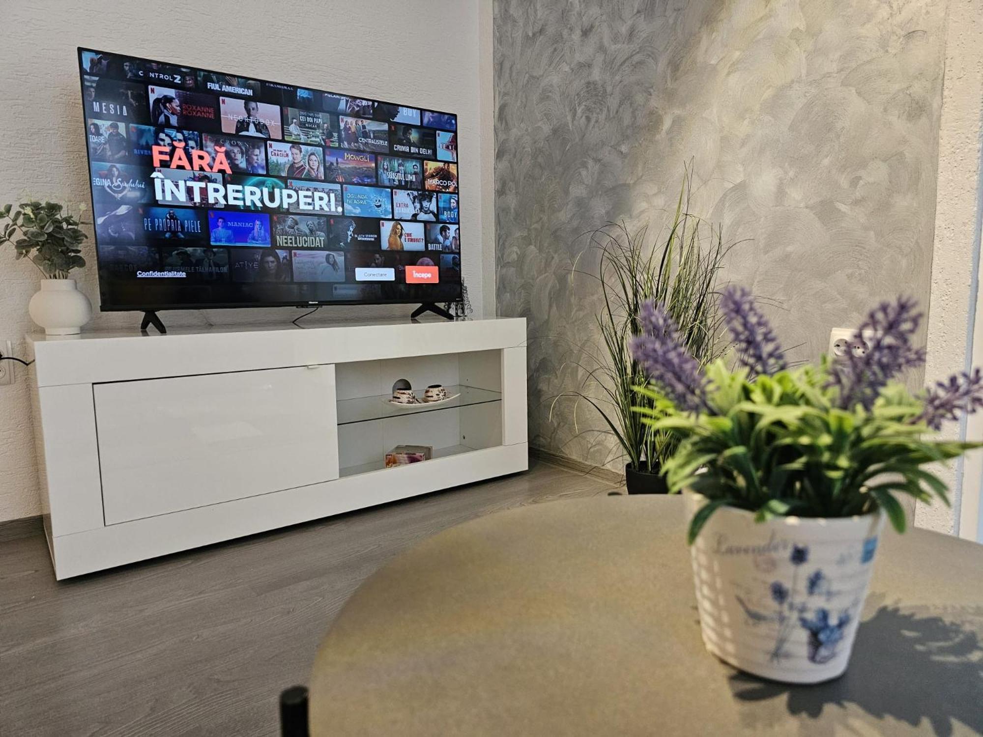 Mona Central Apartment Hunedoara Dış mekan fotoğraf