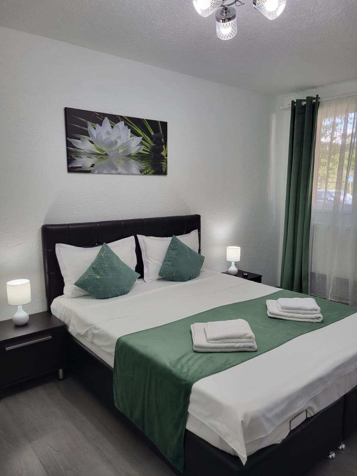 Mona Central Apartment Hunedoara Dış mekan fotoğraf