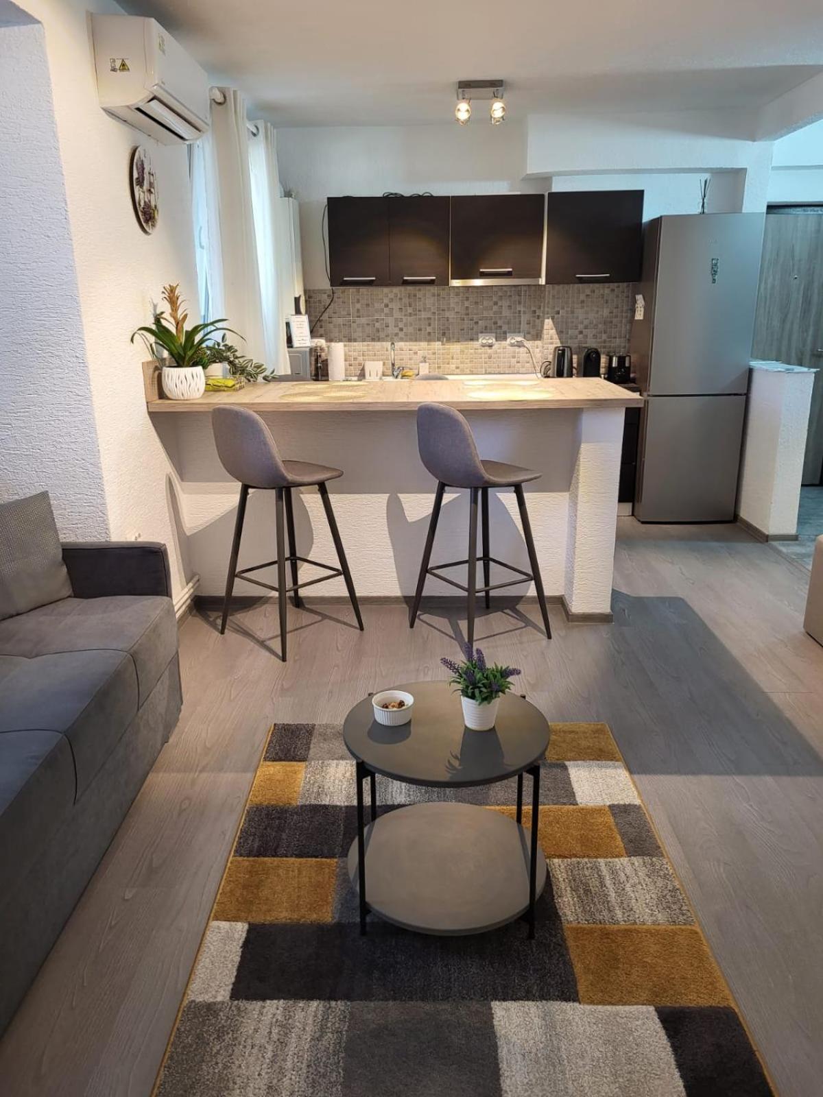 Mona Central Apartment Hunedoara Dış mekan fotoğraf