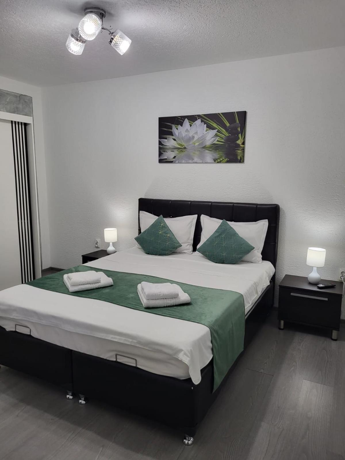 Mona Central Apartment Hunedoara Dış mekan fotoğraf
