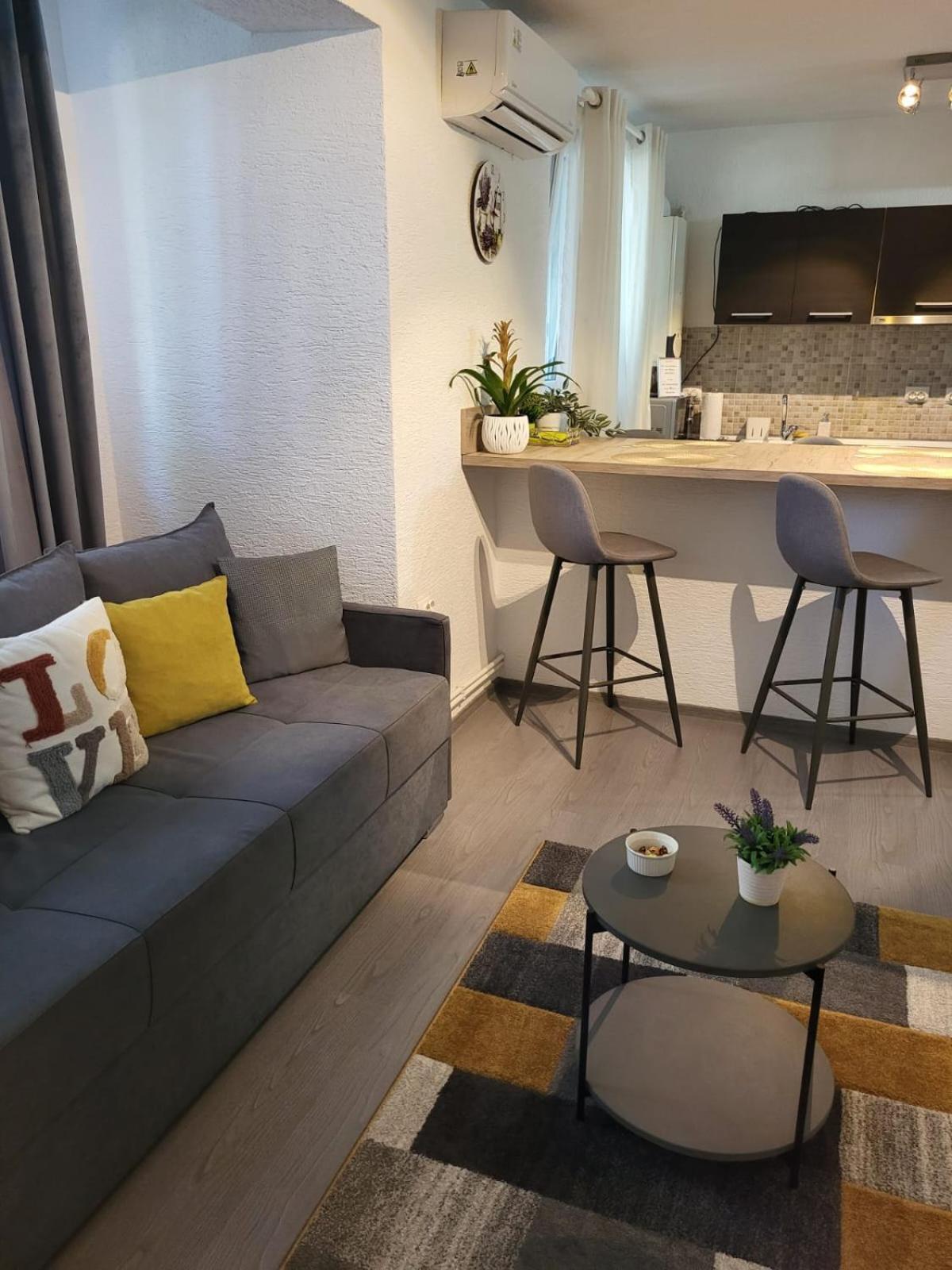 Mona Central Apartment Hunedoara Dış mekan fotoğraf