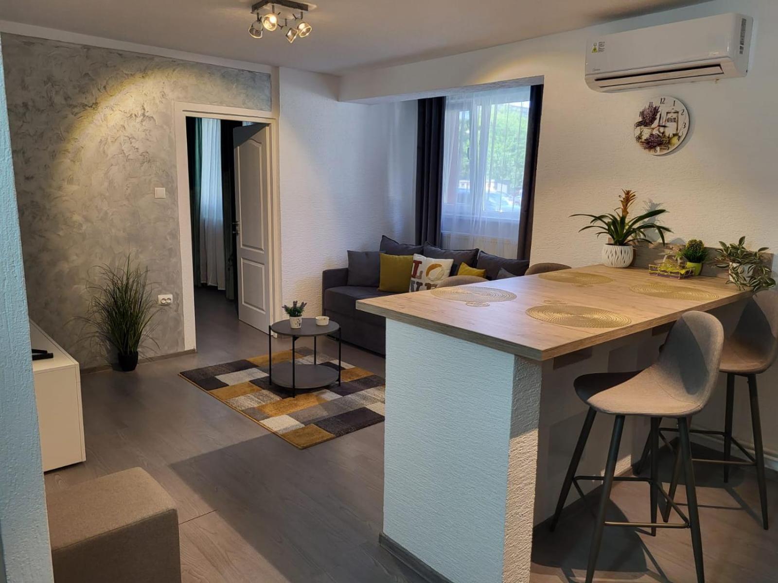 Mona Central Apartment Hunedoara Dış mekan fotoğraf